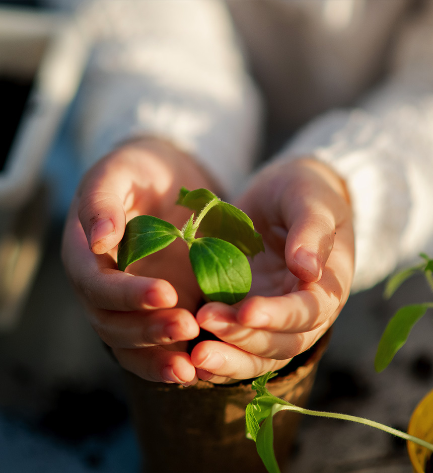 Toplumsal Sorumluluk Toplumsal Sorumluluk